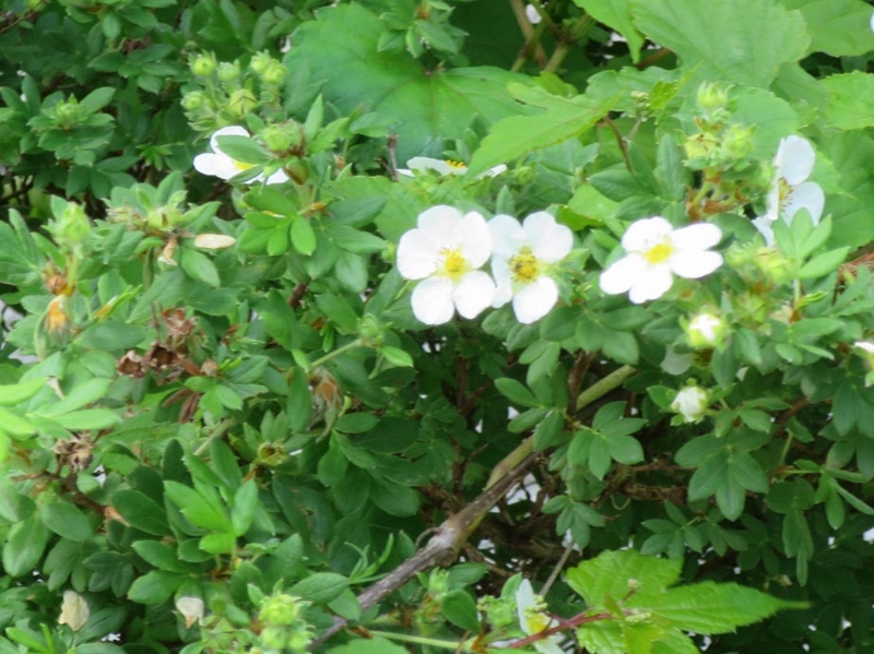 f:id:atarou:20140623064104j:image