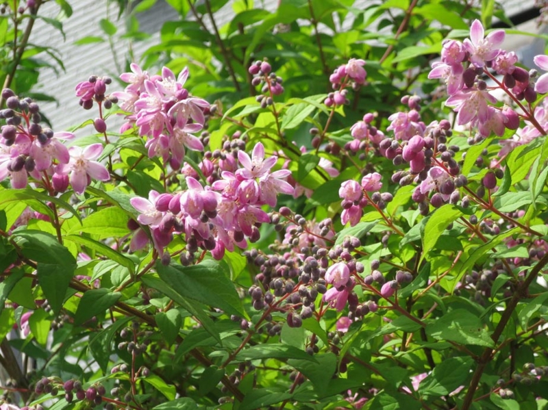 f:id:atarou:20140623064106j:image