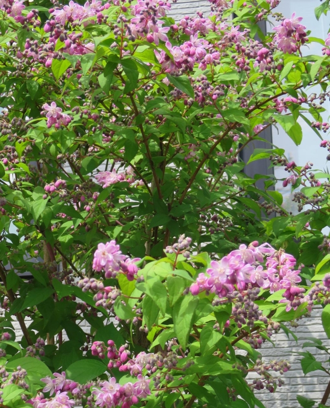 f:id:atarou:20140623064107j:image