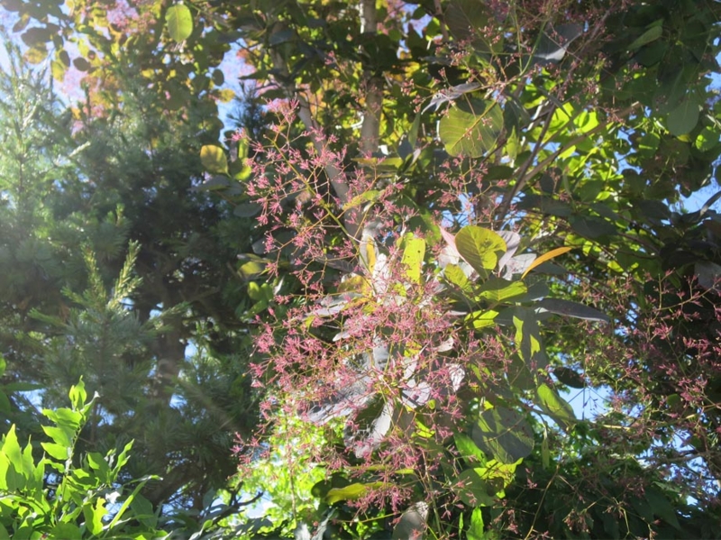 f:id:atarou:20140624065316j:image