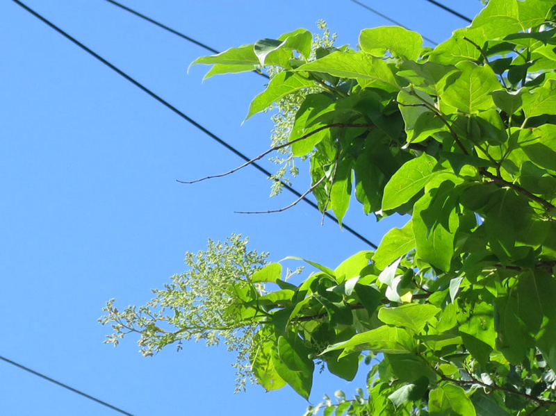 f:id:atarou:20140625082649j:image
