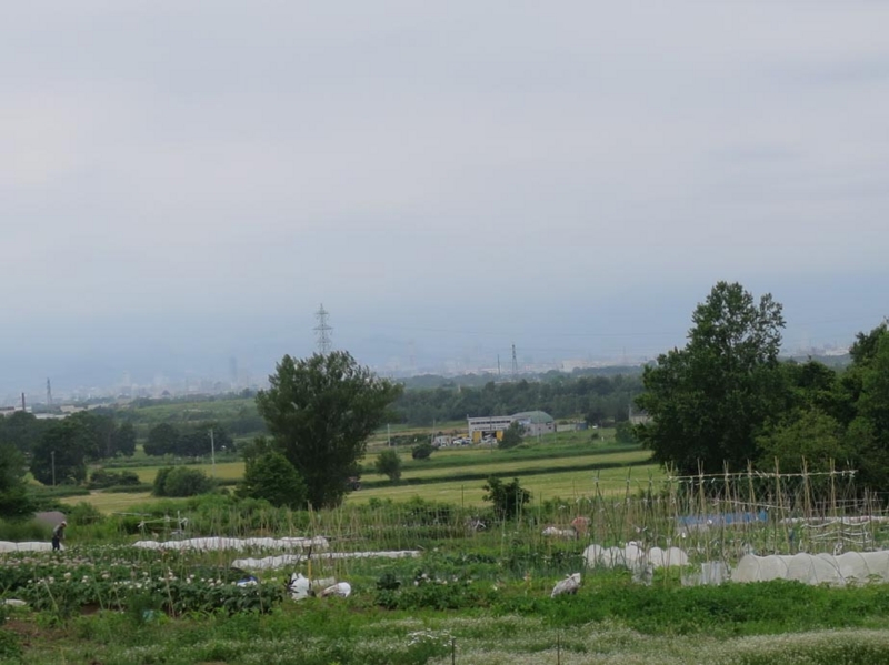 20140703060039