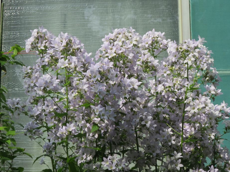 f:id:atarou:20140709083416j:image