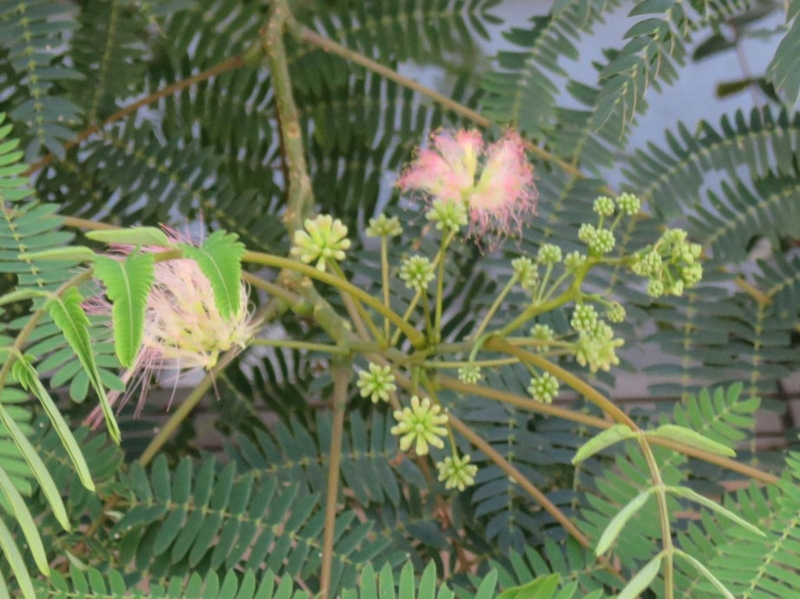 f:id:atarou:20140817062148j:image