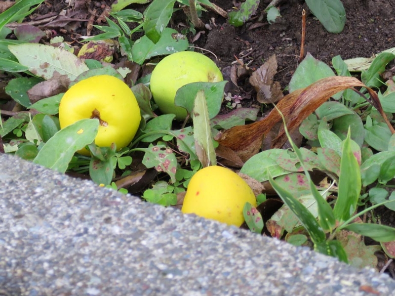 f:id:atarou:20141005061823j:image f:id:atarou:20141005061823j:image