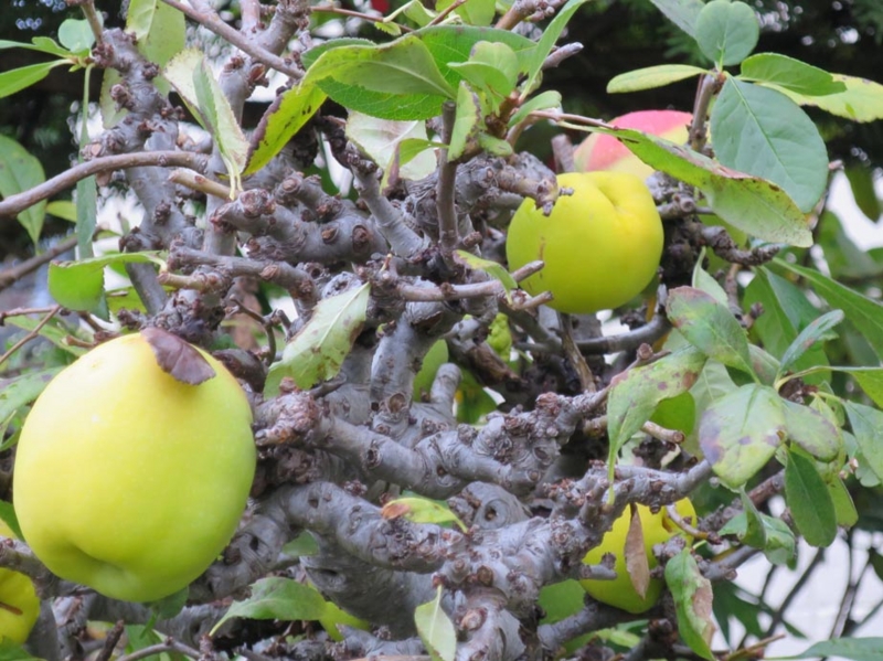f:id:atarou:20141005061824j:image f:id:atarou:20141005061824j:image