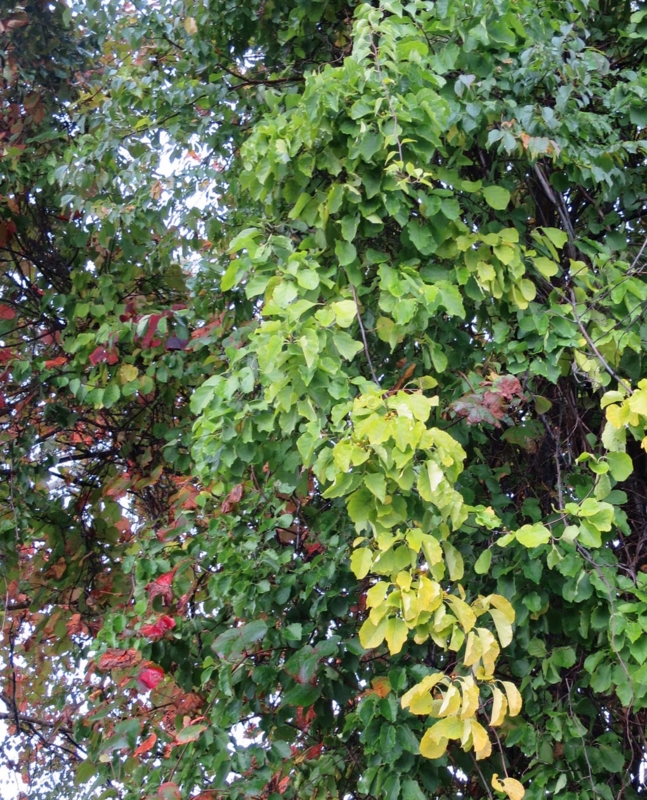 f:id:atarou:20141005063116j:image f:id:atarou:20141005063116j:image