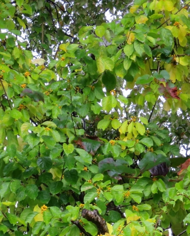 f:id:atarou:20141005063637j:image f:id:atarou:20141005063637j:image