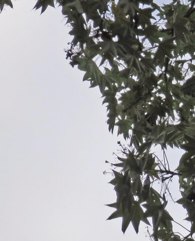 f:id:atarou:20141014070113j:image