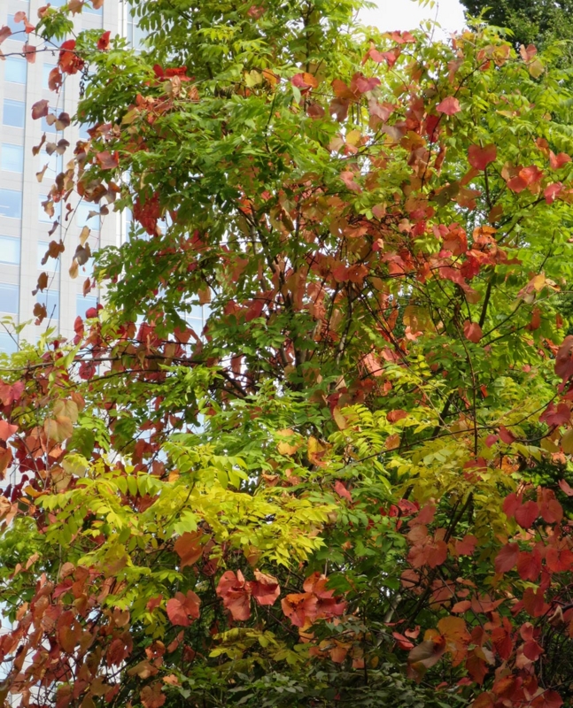 f:id:atarou:20141014070116j:image