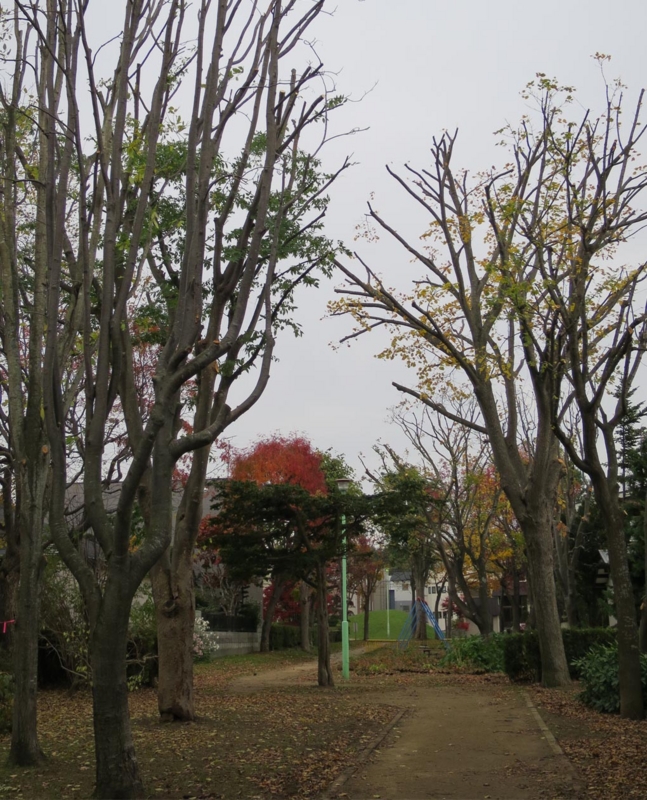 f:id:atarou:20141021081054j:image