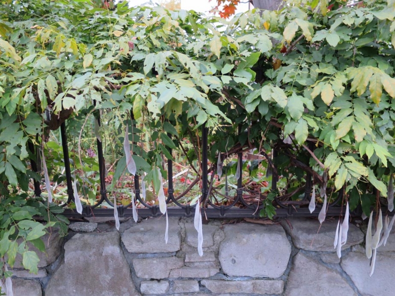 f:id:atarou:20141021082637j:image