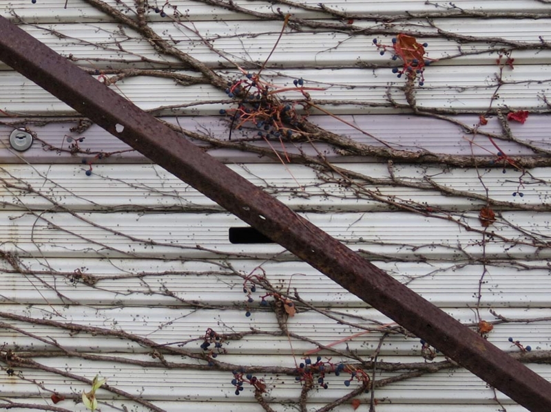 f:id:atarou:20141021083859j:image