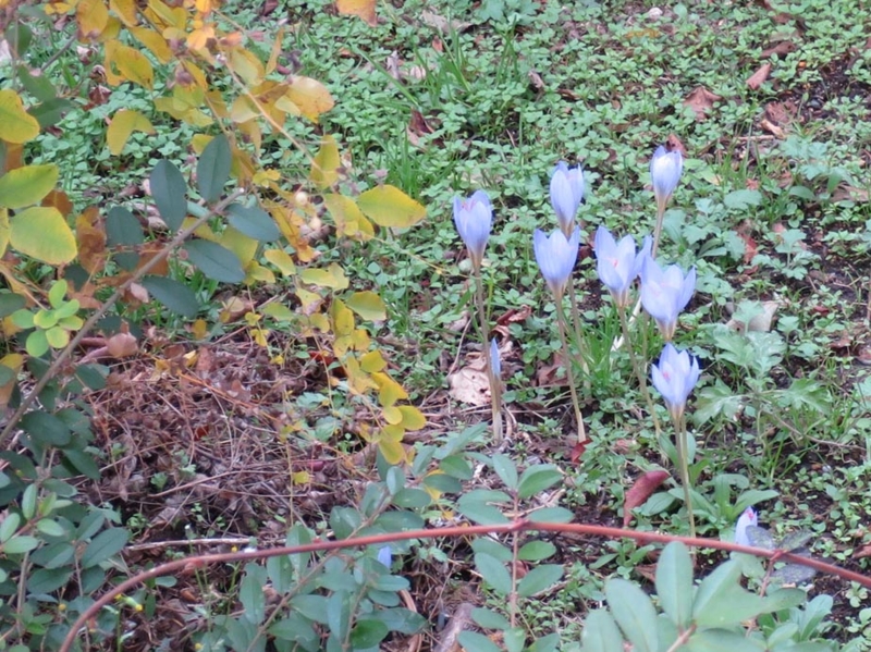 f:id:atarou:20141021085005j:image