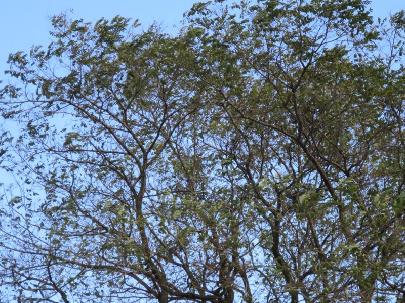 f:id:atarou:20141023064354j:image