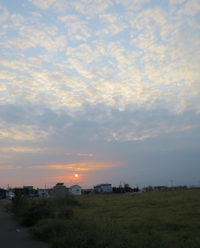 f:id:atarou:20141101063843j:image