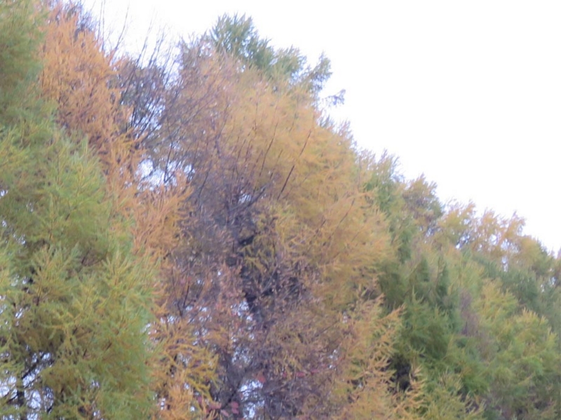 f:id:atarou:20141102063950j:image