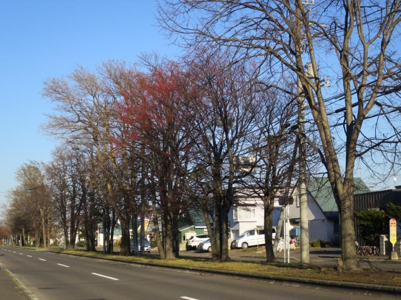 f:id:atarou:20141106081254j:image
