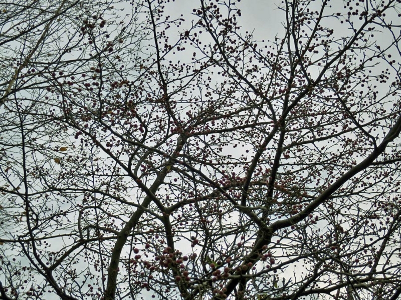 f:id:atarou:20141107064339j:image