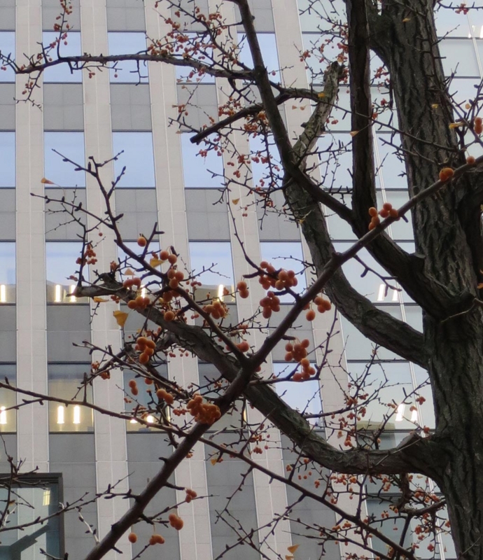 f:id:atarou:20141111064420j:image