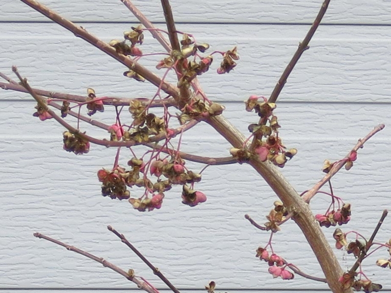 f:id:atarou:20141113065621j:image