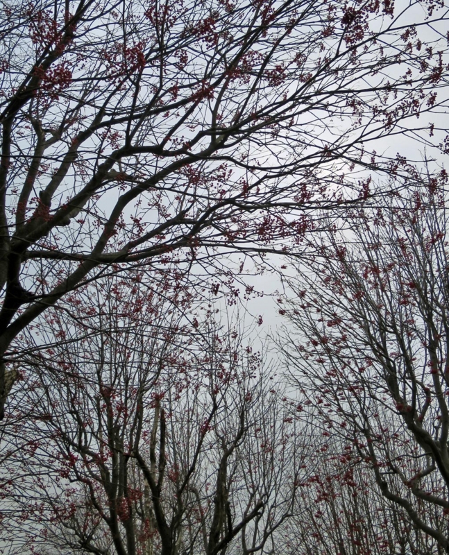 f:id:atarou:20141118062130j:image