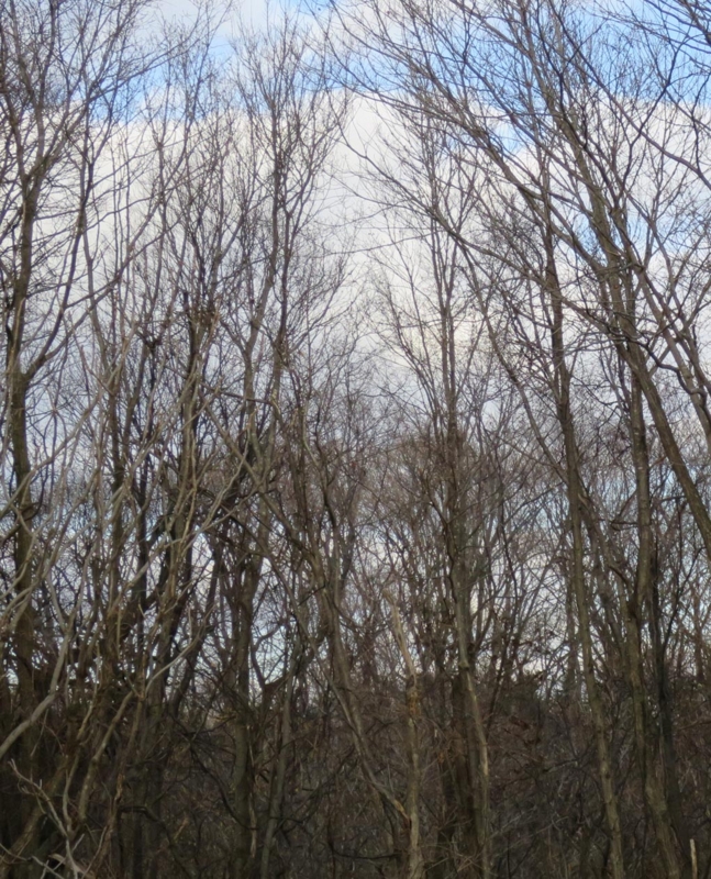 f:id:atarou:20141120064106j:image