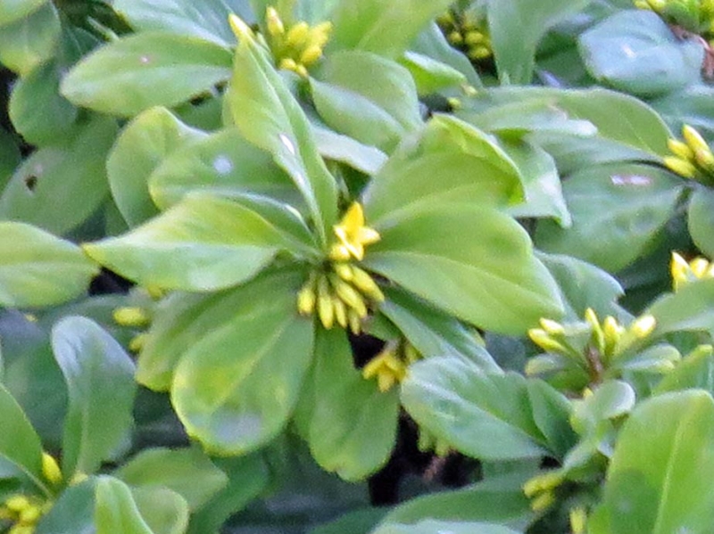 f:id:atarou:20141120083426j:image