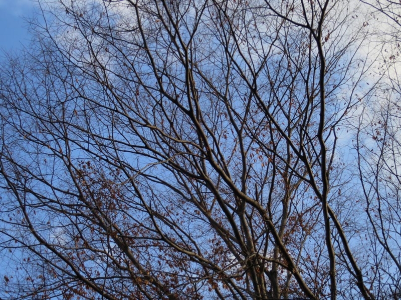f:id:atarou:20141121060223j:image