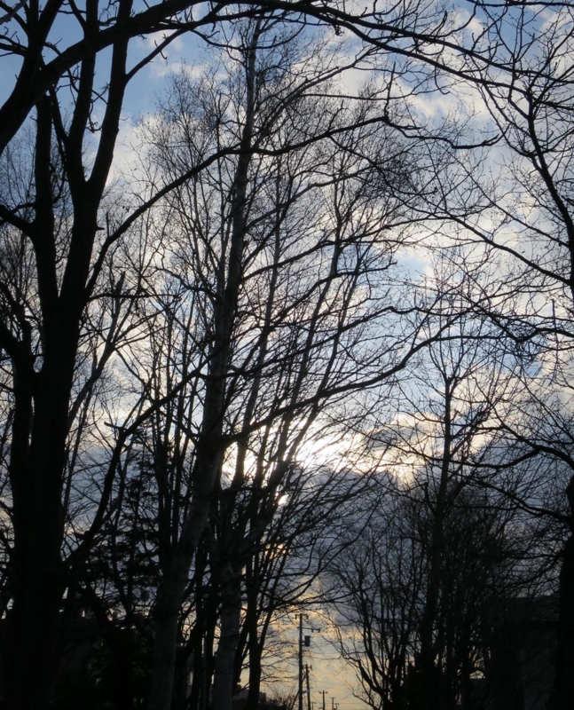 f:id:atarou:20141121060225j:image