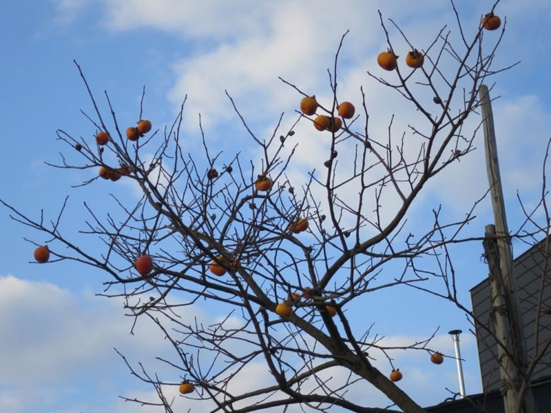 f:id:atarou:20141121061758j:image