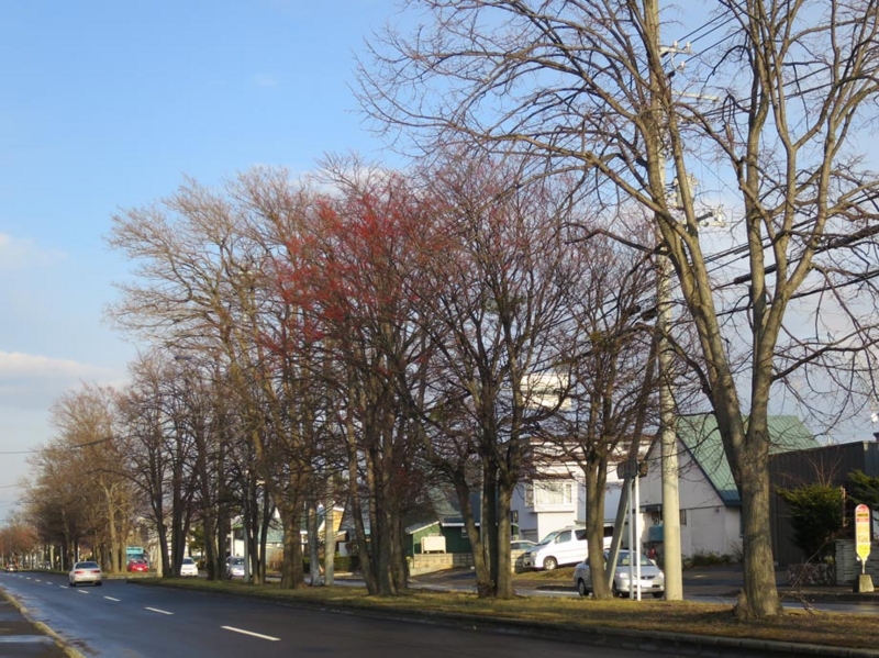 f:id:atarou:20141122070156j:image