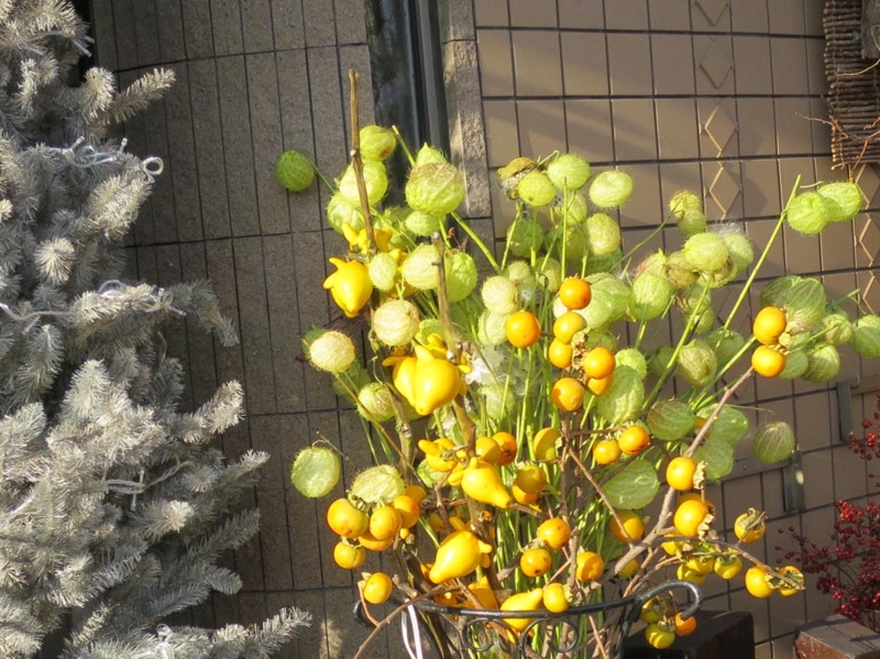 f:id:atarou:20141122070158j:image