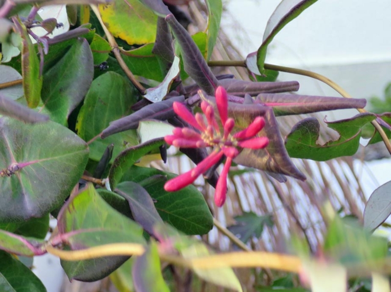 f:id:atarou:20141122070200j:image
