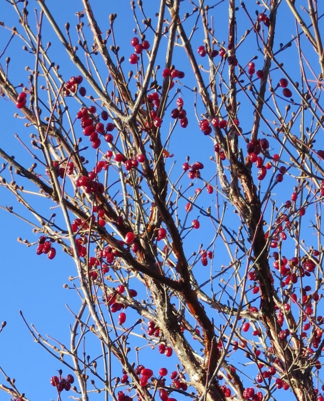 f:id:atarou:20141124084007j:image