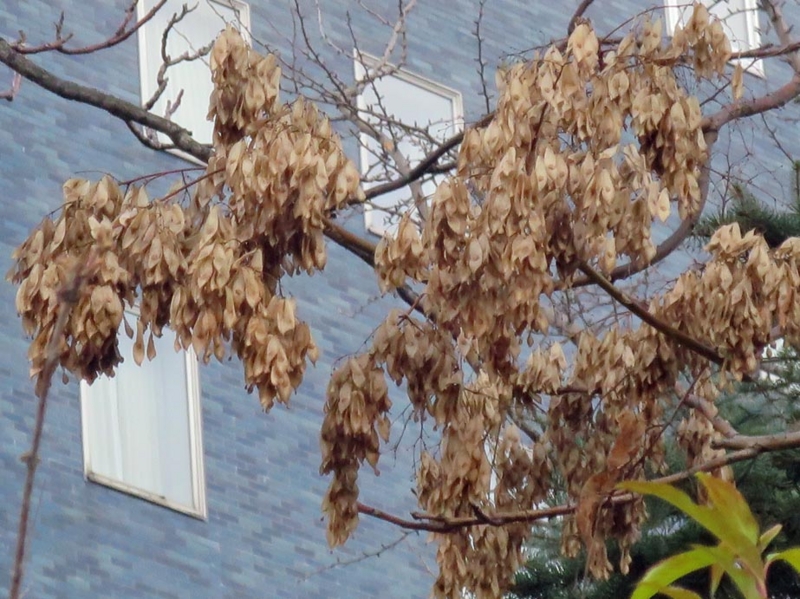 f:id:atarou:20141125083651j:image