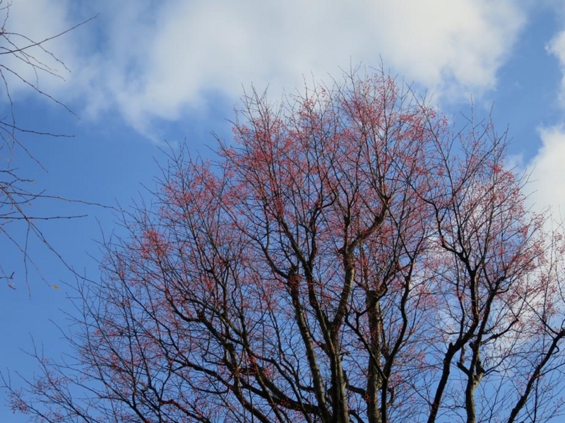 f:id:atarou:20141127090701j:image
