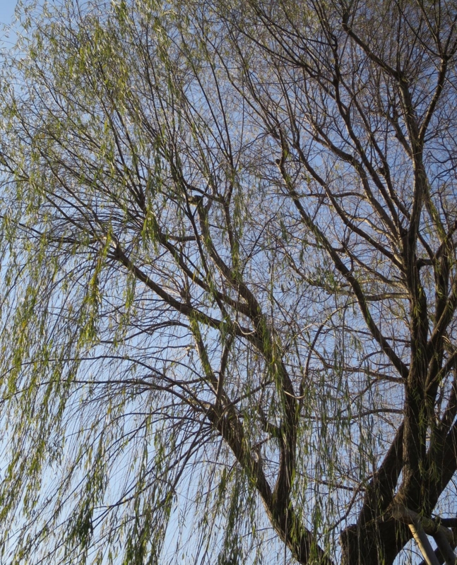 f:id:atarou:20141128092225j:image