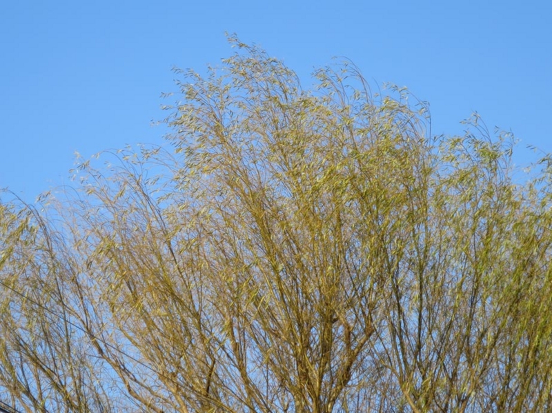 f:id:atarou:20141128092230j:image