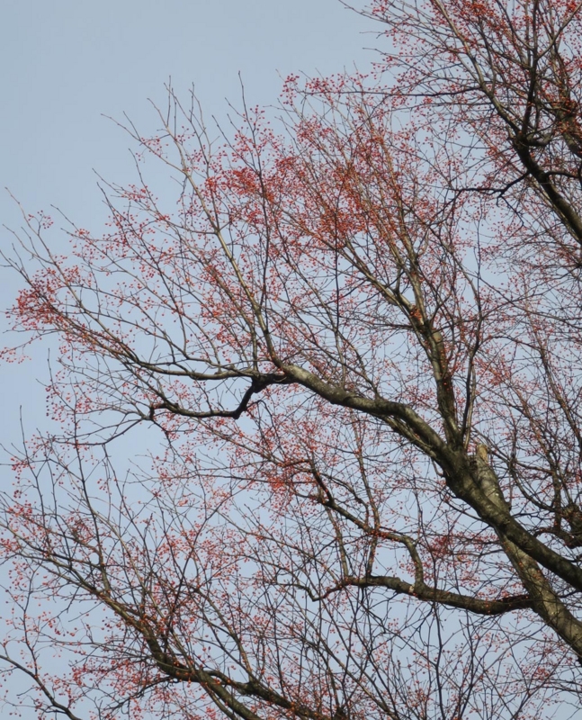 f:id:atarou:20141215070303j:image