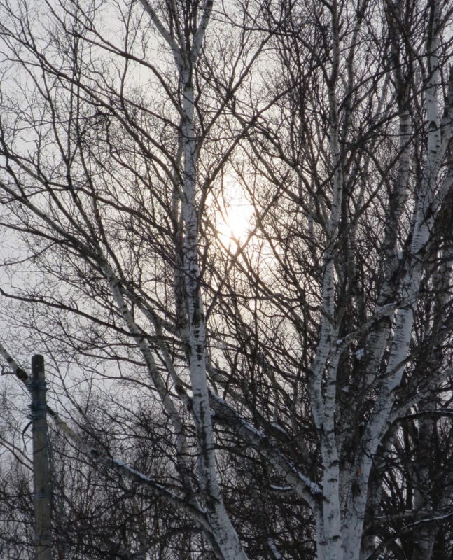 f:id:atarou:20150123085226j:image