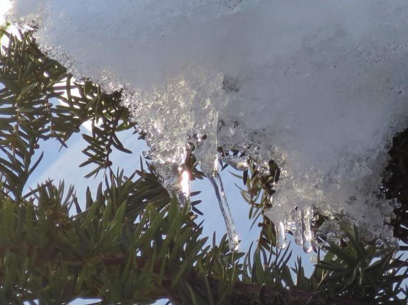 f:id:atarou:20150125094622j:image f:id:atarou:20150125094622j:image