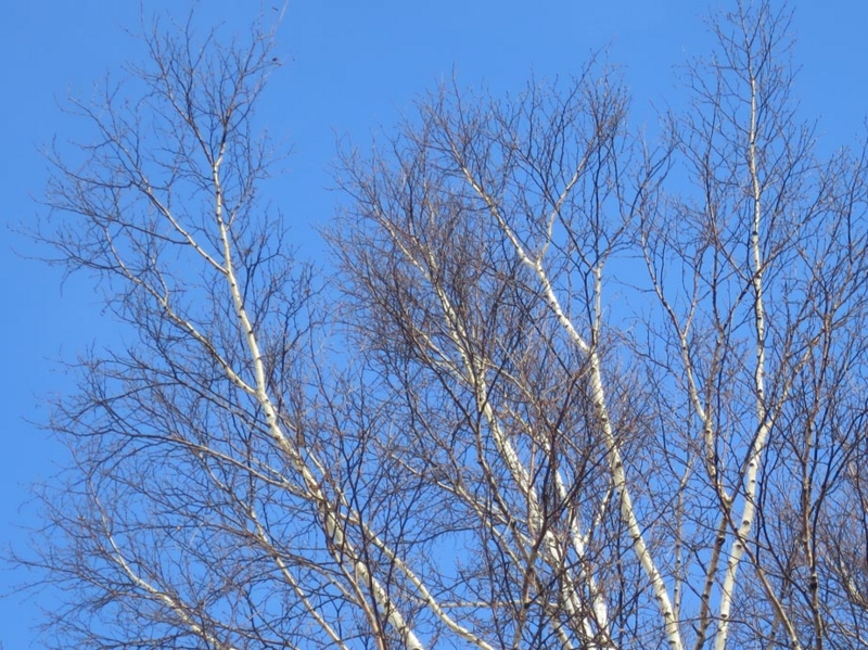 f:id:atarou:20150126090533j:image f:id:atarou:20150126090533j:image