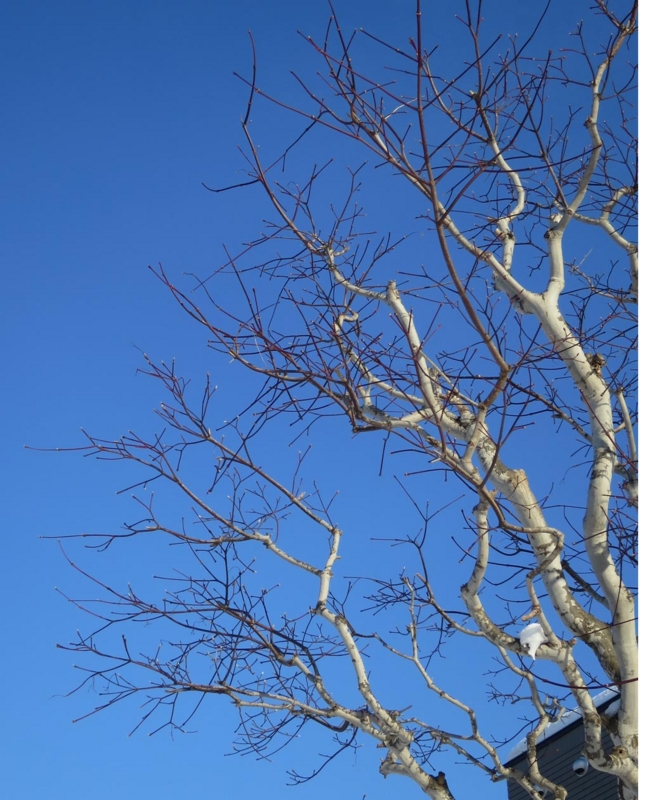 f:id:atarou:20150126091322j:image f:id:atarou:20150126091322j:image