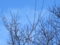 20150207064747