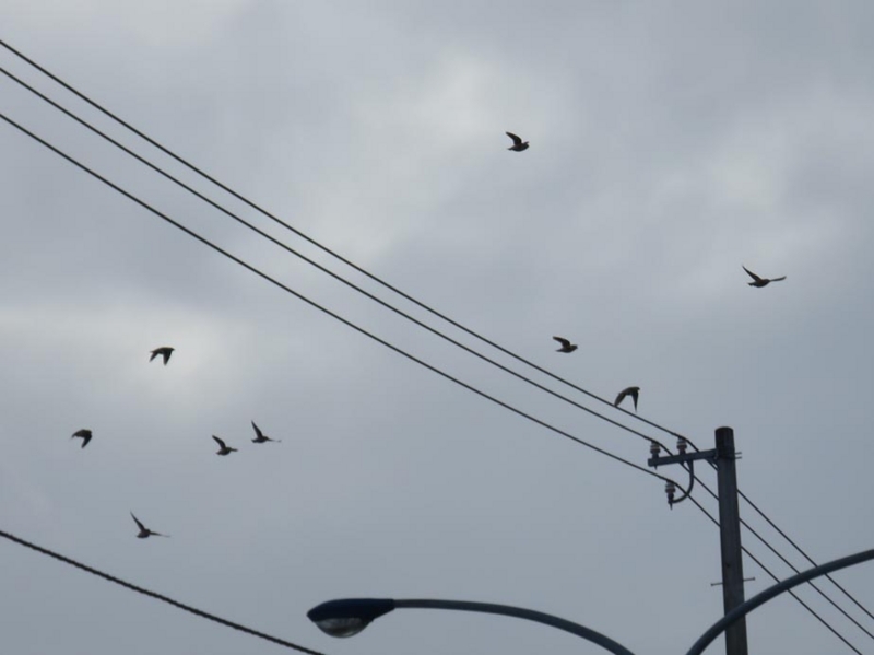 f:id:atarou:20150219070150j:image f:id:atarou:20150219070150j:image