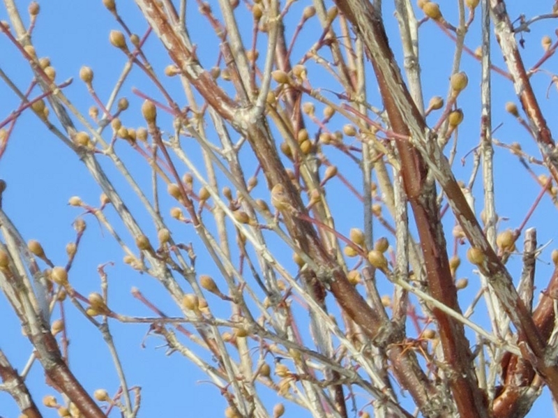 f:id:atarou:20150221065157j:image