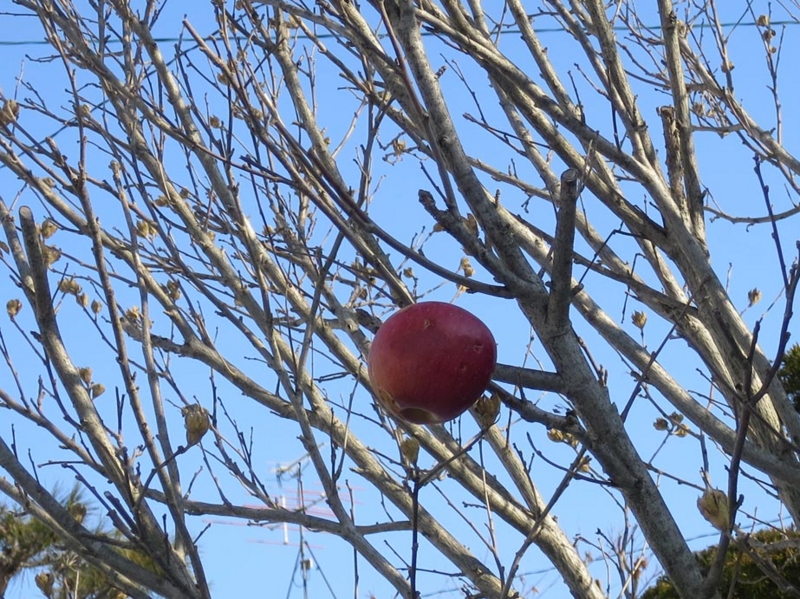 f:id:atarou:20150221065201j:image