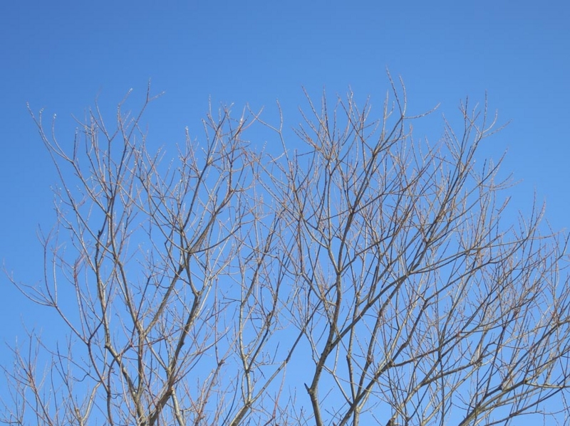 f:id:atarou:20150221065933j:image