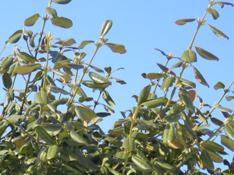 f:id:atarou:20150222085551j:image